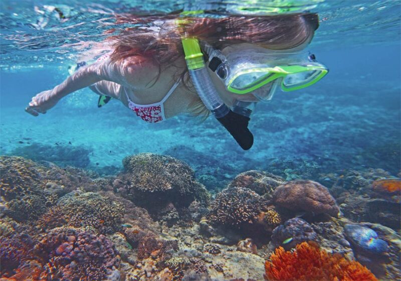 great-barrier-reef-snorkelling-reefsprinter-girl